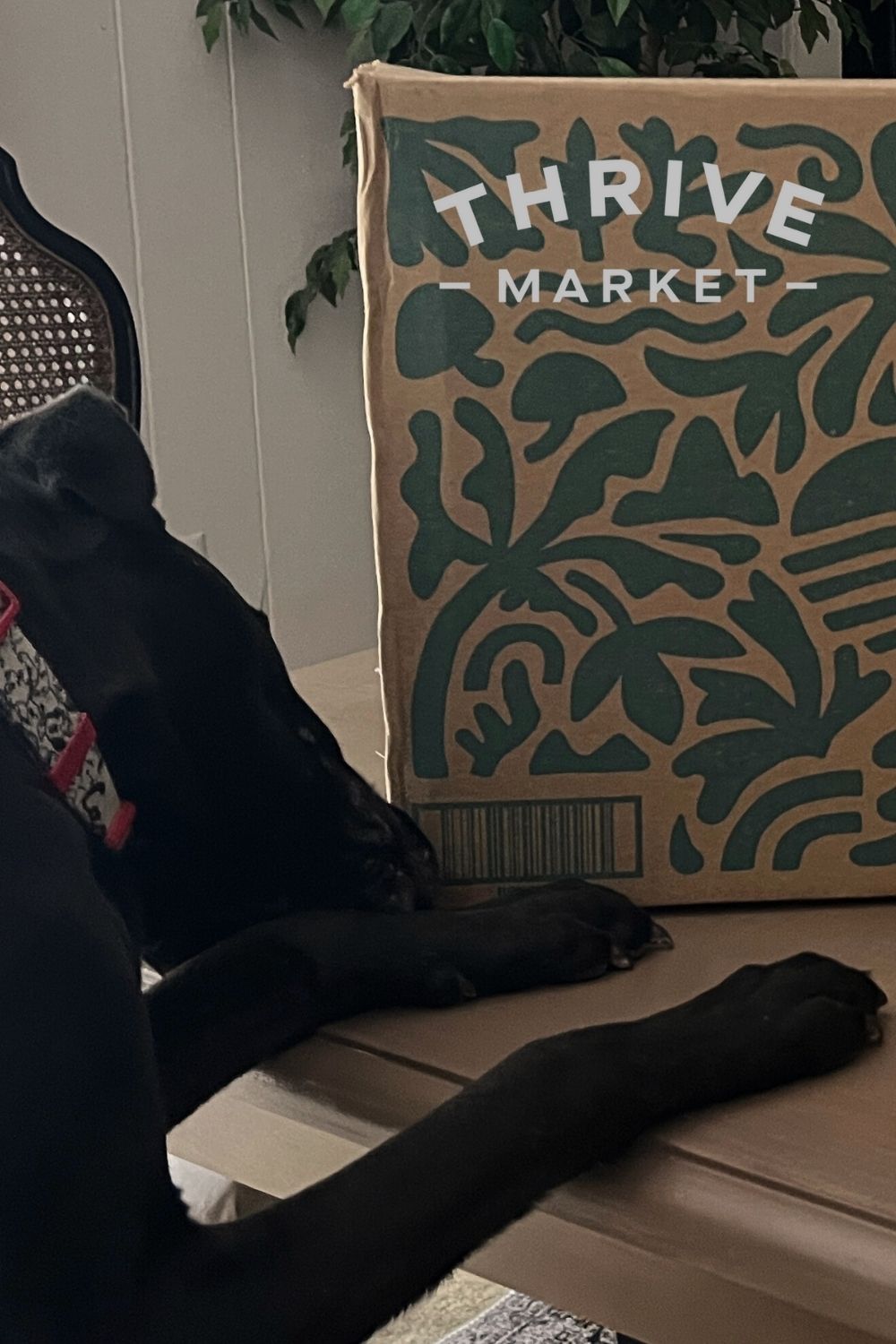 Is Thrive Market Worth It?